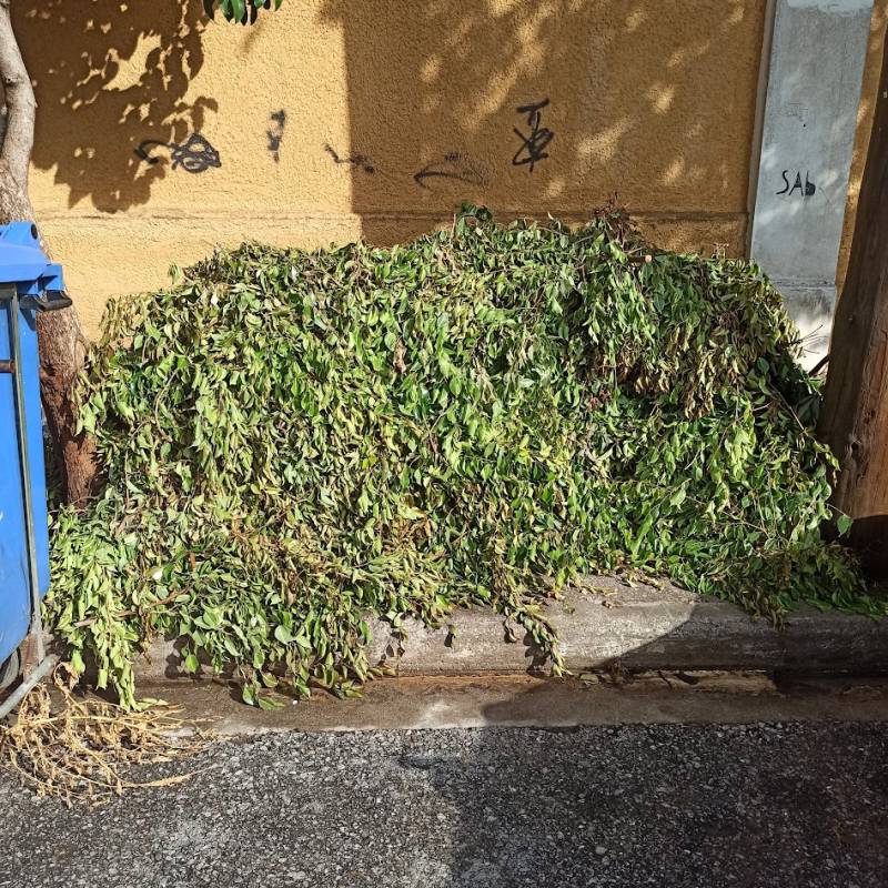 Αποτυχημένη μέθοδος