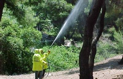 Δεν θα γίνει δακοκτονία σε 12 κοινότητες του Δήμου Καλαμάτας