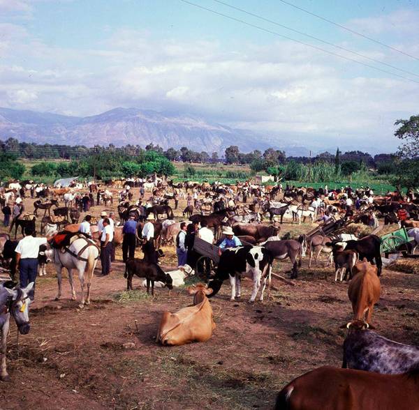 Παζάρι στο Νησιώτικο πανηγύρι