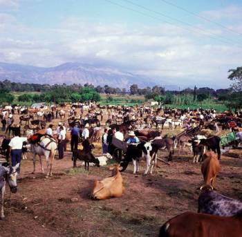 Παζάρι στο Νησιώτικο πανηγύρι