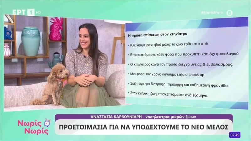 Παγκόσμια ημέρων ζώων: Προετοιμασία για να υποδεχτούμε το νέο μέλος