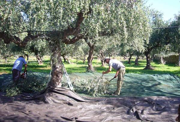 Ζεστάθηκε η αγορά από τις επιδοτήσεις - Από χθες στους λογαριασμούς η επιδότηση