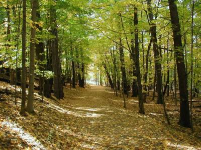 Ολοκληρώνονται οι δασικοί χάρτες της Πελοποννήσου