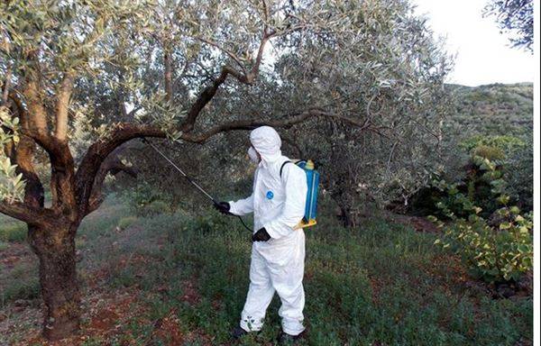 Το παρασιτικό κράτος τρώει τις σάρκες του