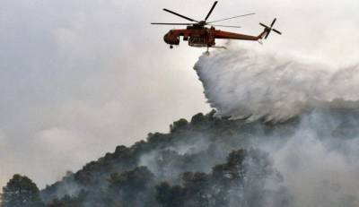 Φωτιά στη Λαμία: Επιχειρούν ισχυρές δυνάμεις της Πυροσβεστικής (βίντεο)