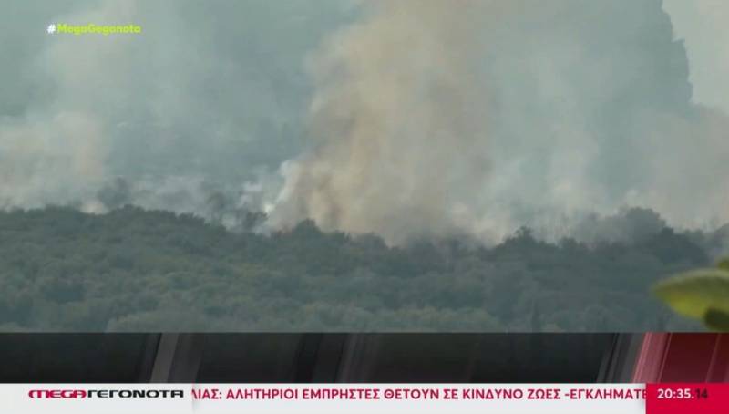 «Φουντώνει» η πολιτική αντιπαράθεση για την διαχείριση των πυρκαγιών (Βίντεο)