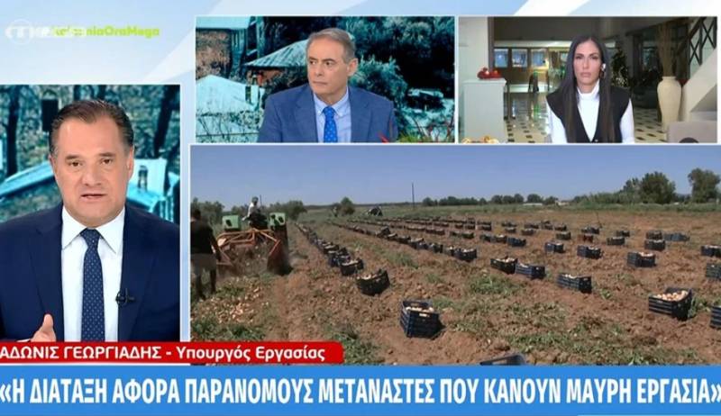Γεωργιάδης: Η διάταξη αφορά παράνομους μετανάστες που κάνουν μαύρη εργασία - Δεν είναι ταξιδιωτικό έγγραφο (Βίντεο)