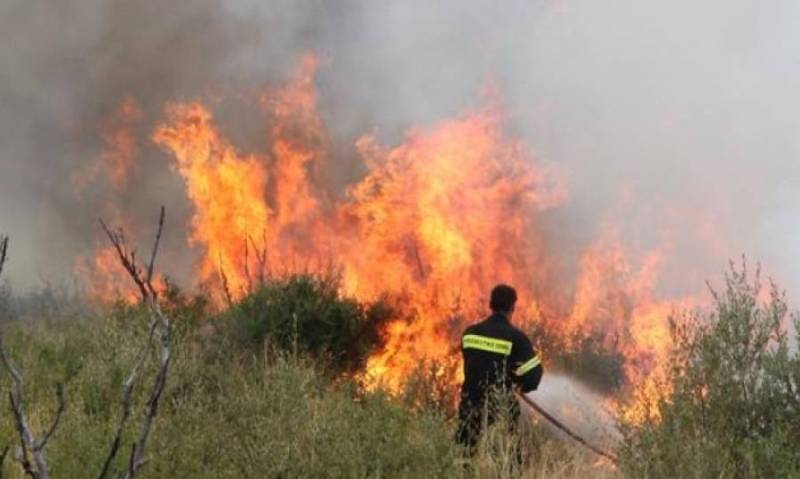 Επιστημονική ημερίδα στο Πνευματικό Κέντρο Καλαμάτας: «Κλιματική αλλαγή και δασικές πυρκαγιές»