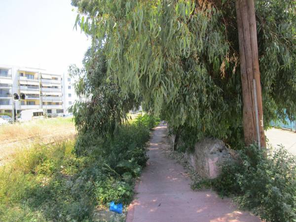 Χορτάρια και κλαδιά στον ποδηλατόδρομο