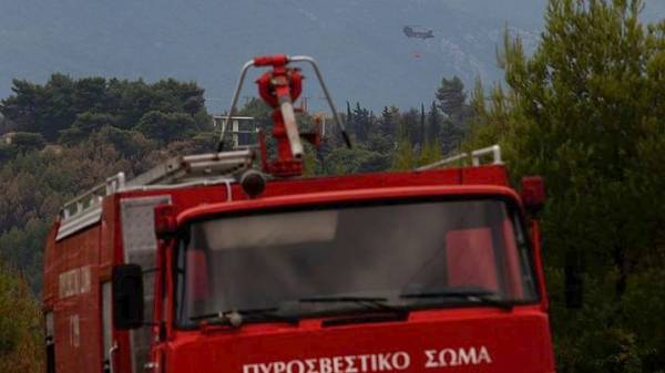 Σε δύσβατο σημείο η πυρκαγιά στα Ροδινά Ηλείας