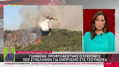 Γιάννενα: Προφυλακίστηκε ο 57χρονος που συνελήφθη για εμπρησμό στα Τζουμέρκα