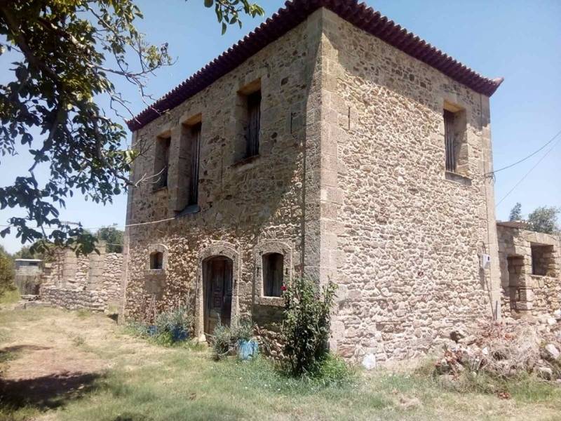 Επί Τάπητος: Το τρένο... για την Πύλο