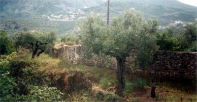 Σε Δασαρχείο και Βέργα ο Δημήτρης Οικονομάκος