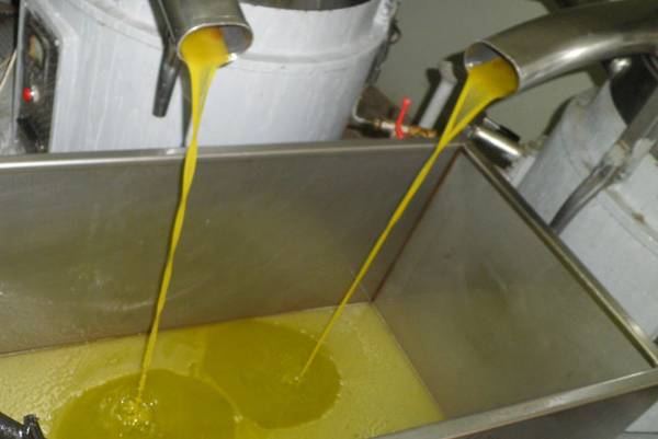 Στα 3,05 ευρώ το ελαιόλαδο