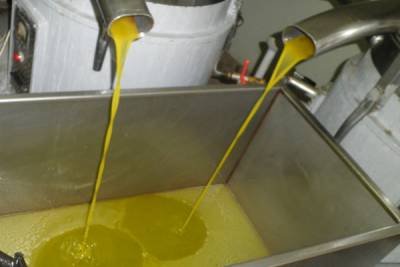 Στα 3,05 ευρώ το ελαιόλαδο