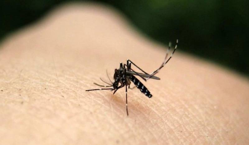 Ιός Δυτικού Νείλου: 146 κρούσματα - Σε ποιες περιοχές εμφανίζονται οι περισσότερες λοιμώξεις