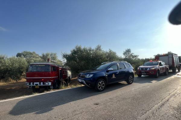 Εθελοντές της ΟΑΚ 4Χ4 Μεσσηνίας εντόπισαν φωτιά στη Μάδαινα - Αμεση κατάσβεση από την Πυροσβεστική