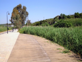 Ποδηλατόδρομος στον Αγ. Φλώρο