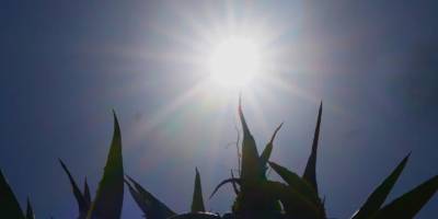 Αίθριος ο καιρός την Κυριακή - Αναλυτική πρόγνωση (Βίντεο)