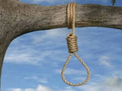 Απαγχονισμένος 90χρονος σε ελιά στη Σπηλιά Τριφυλίας