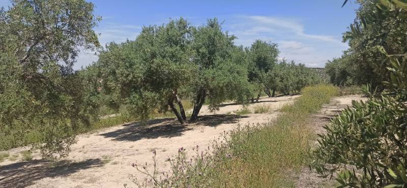 Επιχορήγηση σε σύλλογο στο Χαρακοπιό από το υπουργείο Πολιτισμού