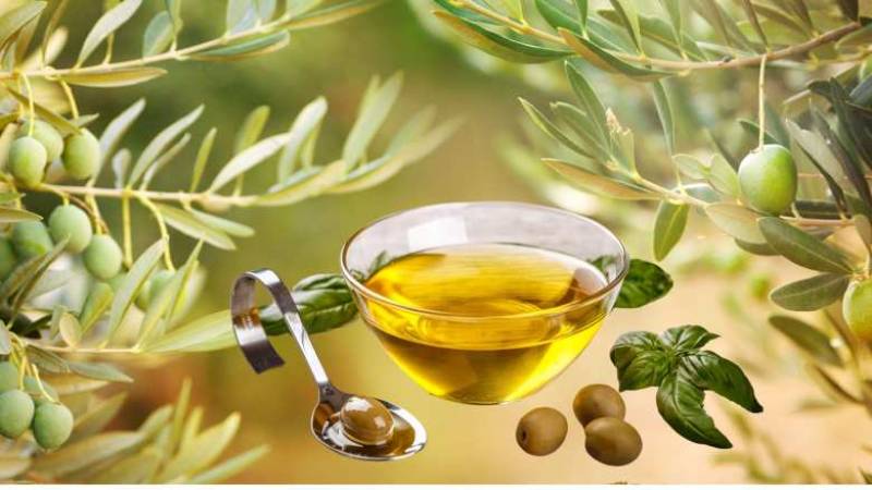 12ο Πανελλήνιο Φεστιβάλ Ελαιολάδου και Επιτραπέζιας Ελιάς: Ξεκινά σήμερα στην Καλαμάτα με ενδιαφέρουσα θεματολογία