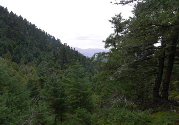 Στο Μαίναλο εξορμά ο Σύλλογος Αρκάδων Ορειβατών