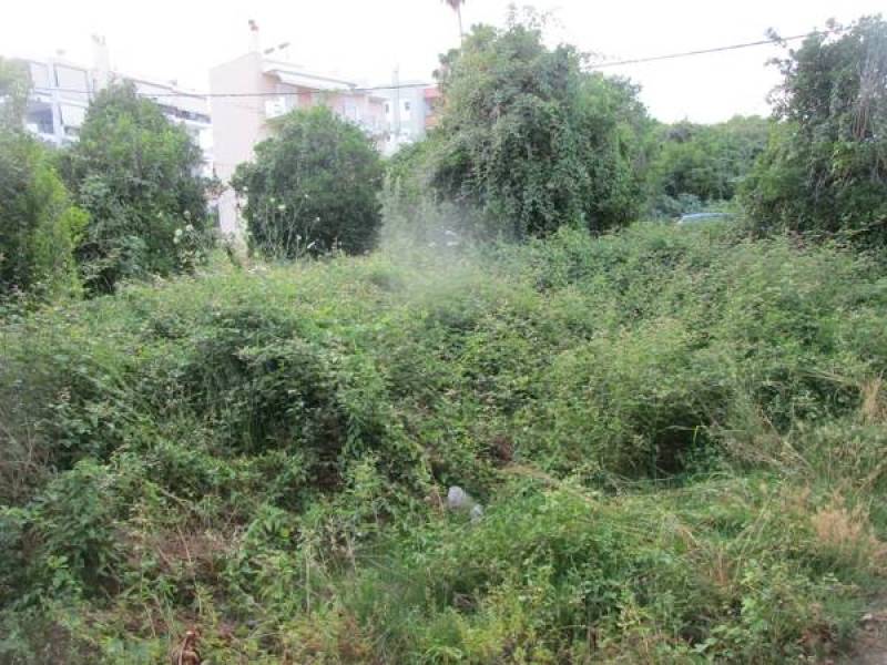 Συστάσεις Βασιλόπουλου για καθαρισμό οικοπέδων ενόψει της νέας αντιπυρικής περιόδου