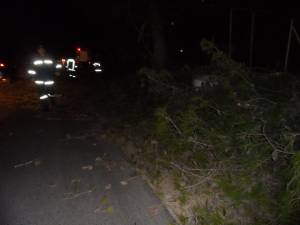 Ισχυροί άνεμοι και πτώσεις δένδρων στη Μεσσηνία