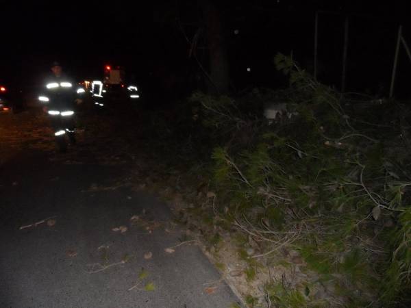Ισχυροί άνεμοι και πτώσεις δένδρων στη Μεσσηνία