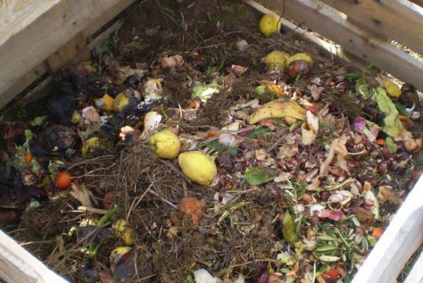 Κανένα ενδιαφέρον για κομποστοποίηση