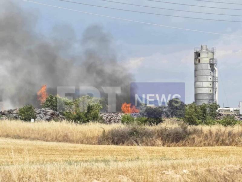 Σέρρες: Φωτιά σε εργοστάσιο ξυλείας στο Νέο Σούλι