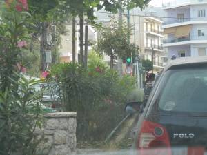 Οργανωμένο κύκλωμα