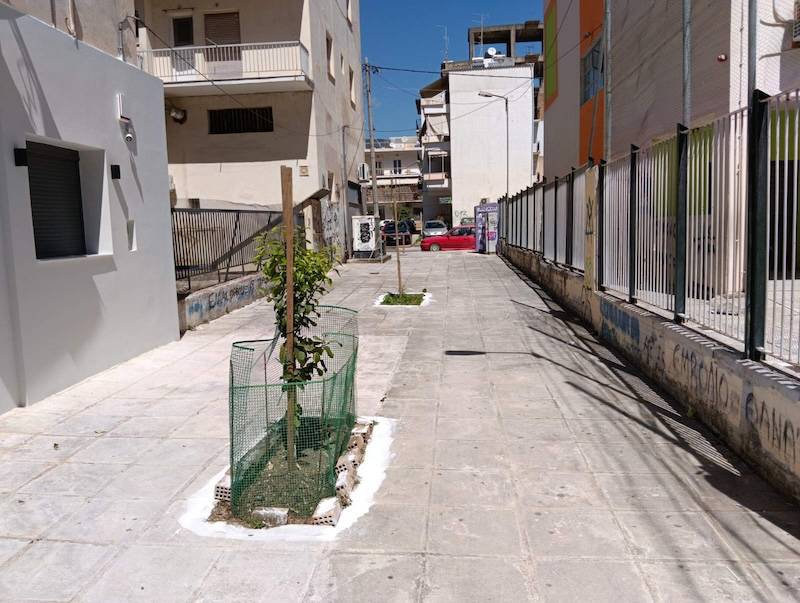 Καθάρισαν οι γείτονες