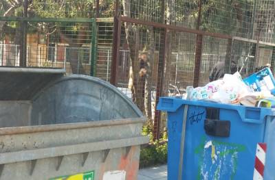 Η ΑΝΤΑΡΣΥΑ κατά της ιδιωτικοποίησης της καθαριότητας στην Τριφυλία