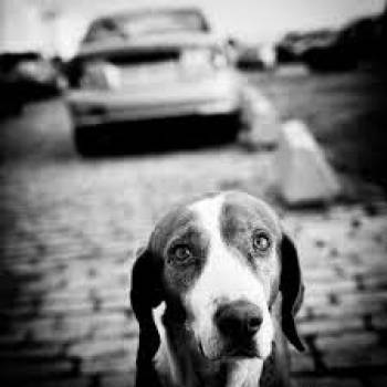 Ένα κομμάτι βαμβάκι και λίγο μπεταντίν | Αννίτα Λουδάρου