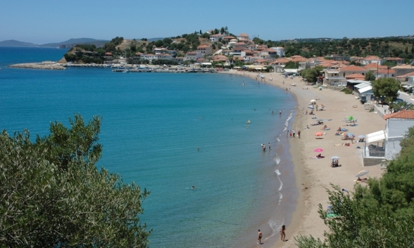 Καυγάς στην Φοινικούντα για το μπάνιο του... σκύλου