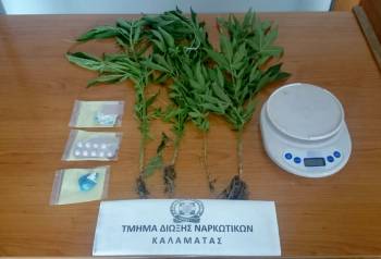 Πιάστηκε 52χρονος με 4 χασισόδεντρα στην Καλαμάτα