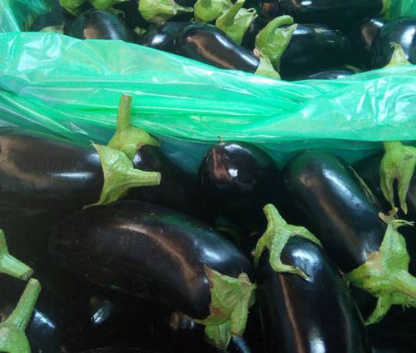 Περισσεύματα αγροτικής παραγωγής για διανομή ζητεί ο Δήμος Τριφυλίας