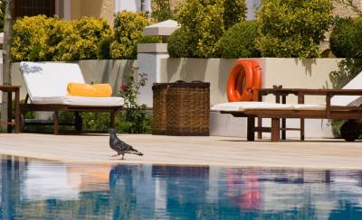 Τουριστικός Οργανισμός Πελοποννήσου: Αβάσταχτα για τα ξενοδοχεία τα πνευματικά δικαιώματα