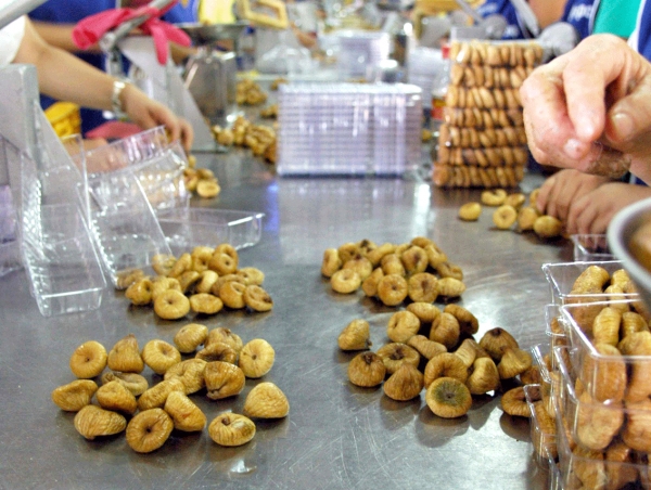 Αφλατοξίνες σε παρτίδα σύκων της "Συκικής" στην Τσεχία