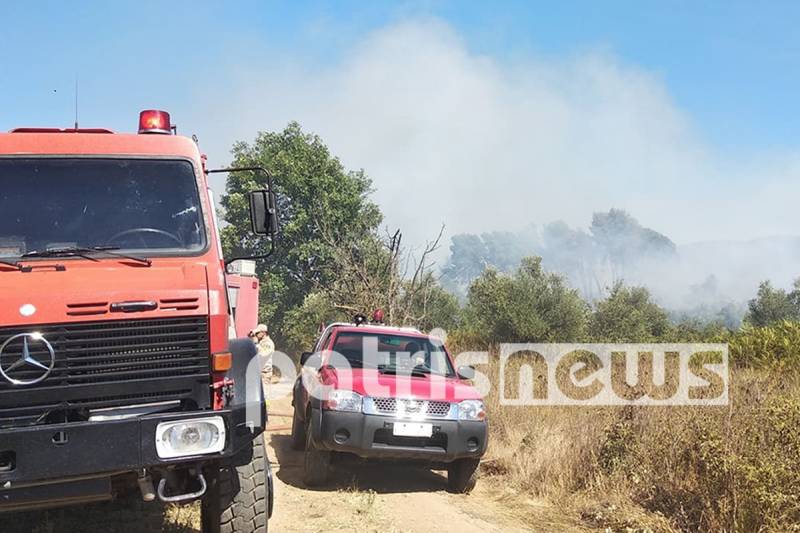 Πύργος: Έχει οριοθετηθεί η φωτιά στην περιοχή Καλλίκωμο της Ηλείας