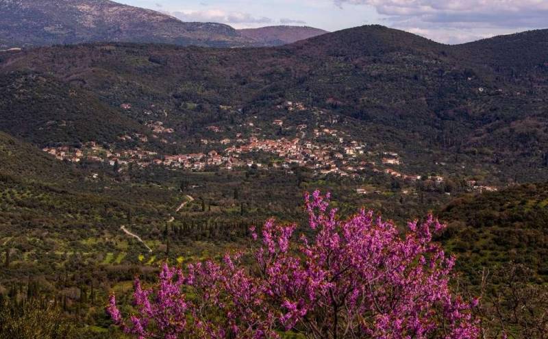 «Πάμε βόλτα» στο Ψάρι