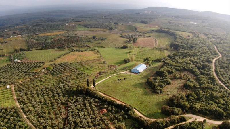 Εκδήλωση γνωριμίας με την Οινοποιία Δερέσκου