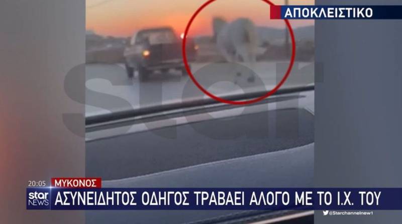 Μύκονος: Νέο περιστατικό κακοποίησης ζώου - Έδεσε άλογο στο αυτοκίνητό του και οδηγούσε (Βίντεο)