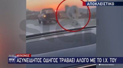 Μύκονος: Νέο περιστατικό κακοποίησης ζώου - Έδεσε άλογο στο αυτοκίνητό του και οδηγούσε (Βίντεο)