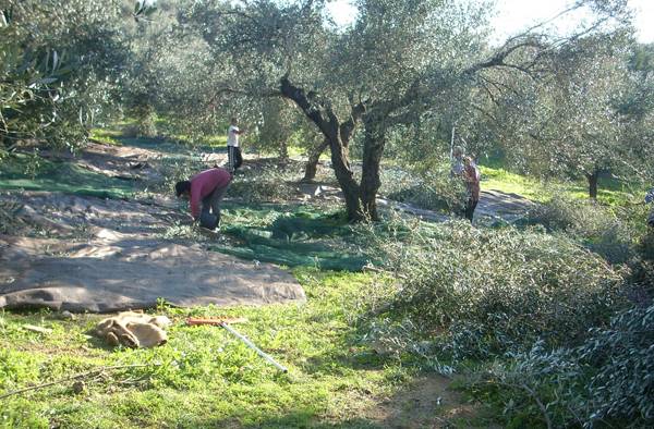 Επί Τάπητος: Η γεωργία, η εργασία και το μέλλον...