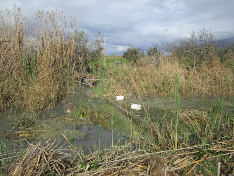 Η άποψη του ΓΟΕΒ Παμίσου για τη ρύπανση των αποστραγγιστικών τάφρων Μουτελάκη και Κασκούτη