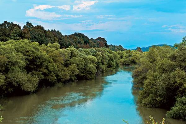 Ερευνα για αποψίλωση παρόχθιου δάσους στη Γιάλοβα