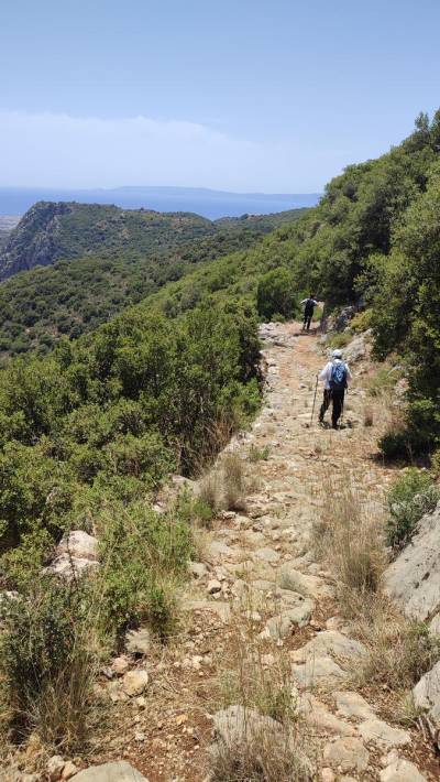 Εξόρμηση του “Ευκλή” στις πλαγιές του Ταϋγέτου